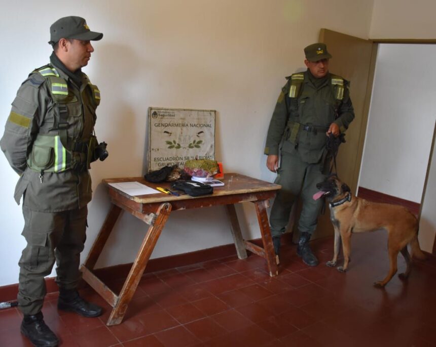 Gendarmería secuestró un kilo de marihuana de un micro que viajaba a Mendoza