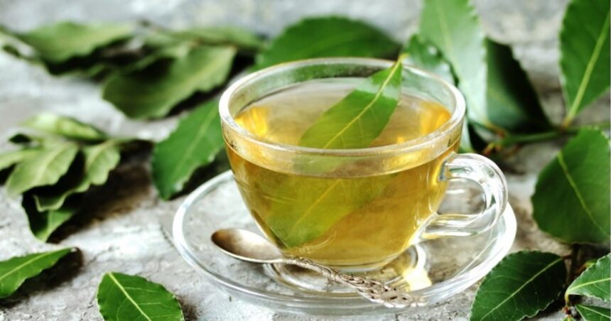 Té de laurel y menta: para qué sirve, beneficios y cómo tomarlo