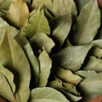 Para qué sirve dejar hojas de laurel en el horno: tips para el hogar