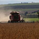 Por el Niño, Brasil prevé cosechar un 2,4 % menos