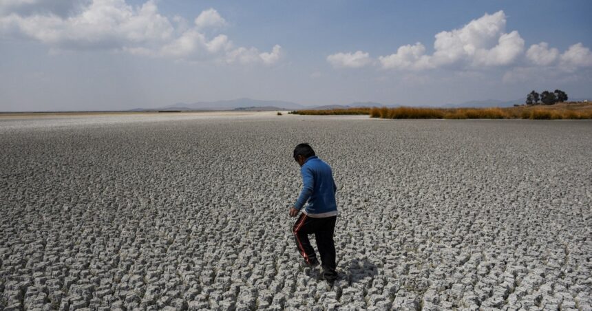 el-lago-titicaca-se-recupera-con-las-primeras-lluvias-tras-una-larga-sequia-en-bolivia