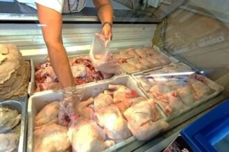 Aumentó el precio del pollo y el kilo de pechugas ronda los  mil