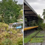 Cómo el temporal afectó el servicio de trenes en la Ciudad y el conurbano: demoras, ramales suspendidos y postes de luz sobre las vías