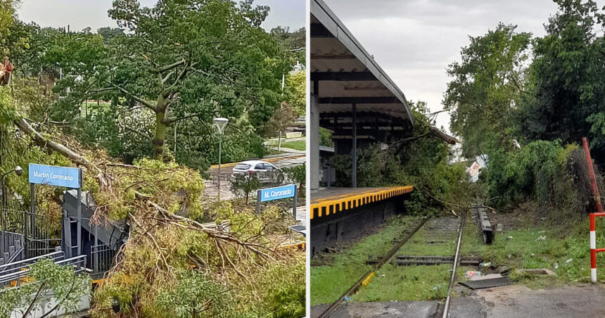 Cómo el temporal afectó el servicio de trenes en la Ciudad y el conurbano: demoras, ramales suspendidos y postes de luz sobre las vías