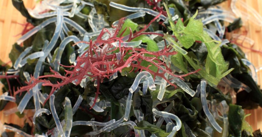 Cuáles son las verduras marinas que regulan la presión y son bajas calorías