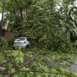 Siguen los efectos del temporal: estado de emergencia en la provincia de Buenos Aires, 150 mil usuarios sin luz y calles cortadas por árboles caídos