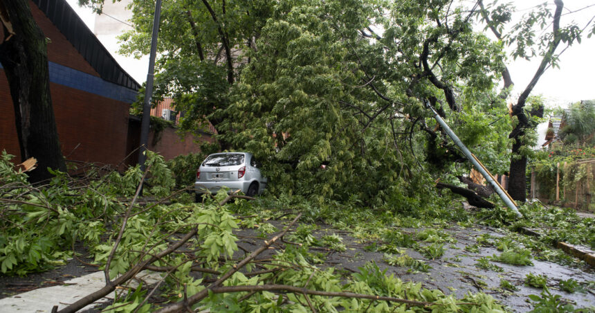 Siguen los efectos del temporal: estado de emergencia en la provincia de Buenos Aires, 150 mil usuarios sin luz y calles cortadas por árboles caídos