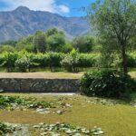 Verano 2024: un refugio en las sierras cordobesas para disfrutar de la naturaleza, la tranquilidad y el buen vino