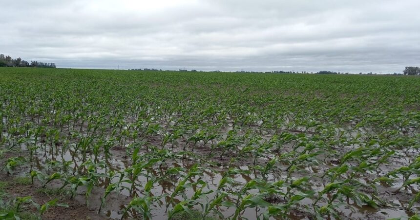 El notable cambio de una variable clave en la principal zona agrícola en apenas una semana