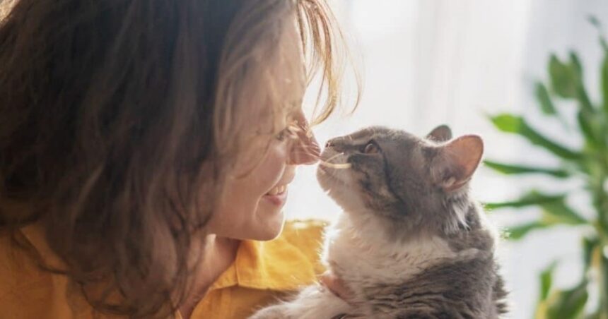 Por qué a los gatos les gusta tocar su nariz con la de su dueño