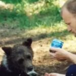 Liberó a un oso de su cautiverio, lo crió en su casa y su final fue aterrador: “Hasta los huesos”