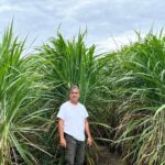 Carbono, energía y agregado de valor en Santiago del Estero: un emprendedor busca las especies más eficientes para hacer biomasa