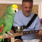 Tico, el loro rockero que arrasa en las redes cantando