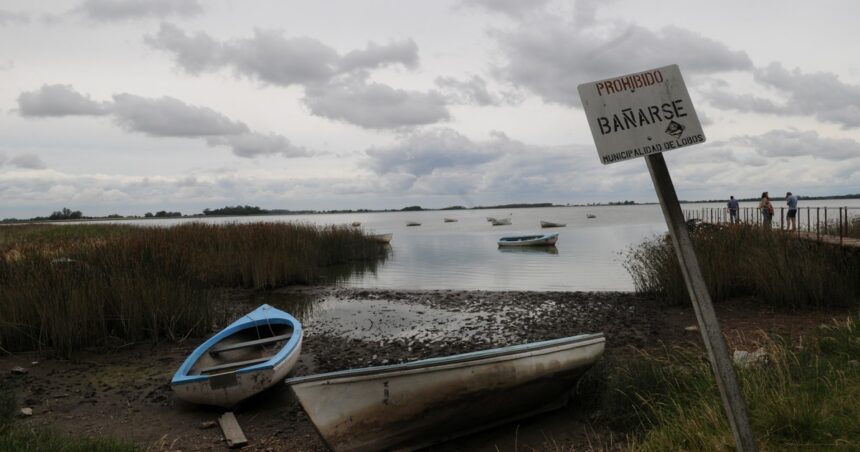 Alertas roja y naranja por la presencia de cianobacterias en lagunas de la provincia de Buenos Aires