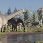 Cuello largo, pico de pato y nombre de estrella: así es la nueva especie de dinosaurio gigante hallada en Neuquén