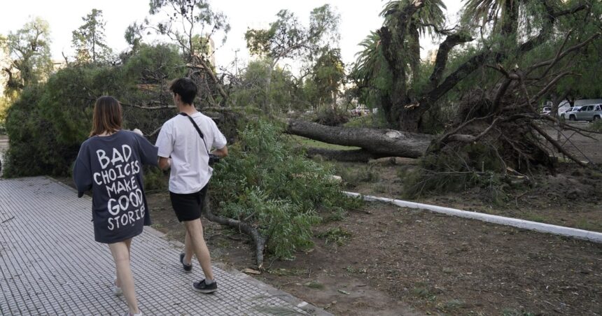 Alerta por tormentas en la Ciudad de Buenos Aires: piden no sacar la basura y retirar de los balcones todo lo que se puede volar por el viento