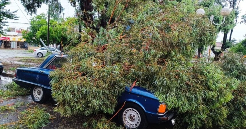 Un temporal de lluvia y granizo generó graves destrozos en Miramar y hay alerta por tormentas fuertes para parte de la Costa