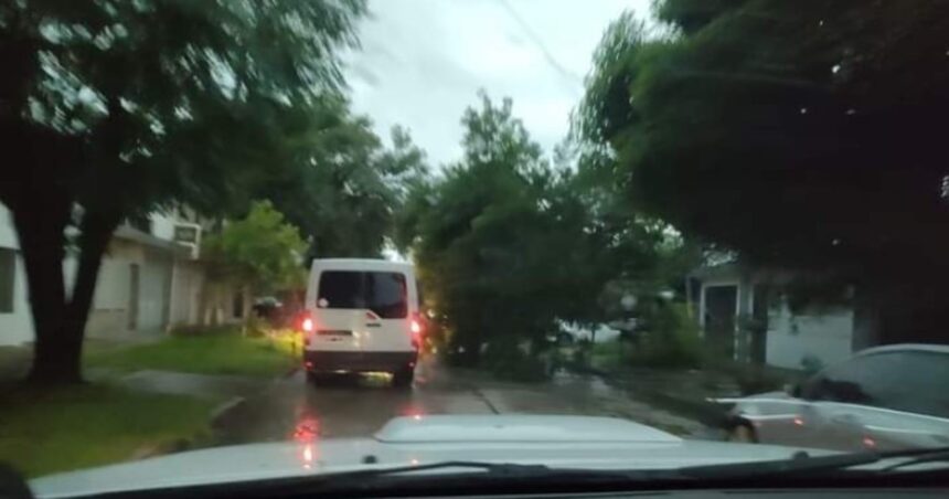 Temporal en Formosa: destrozos, voladuras de techos y un nene de un año muerto por la caída de un árbol