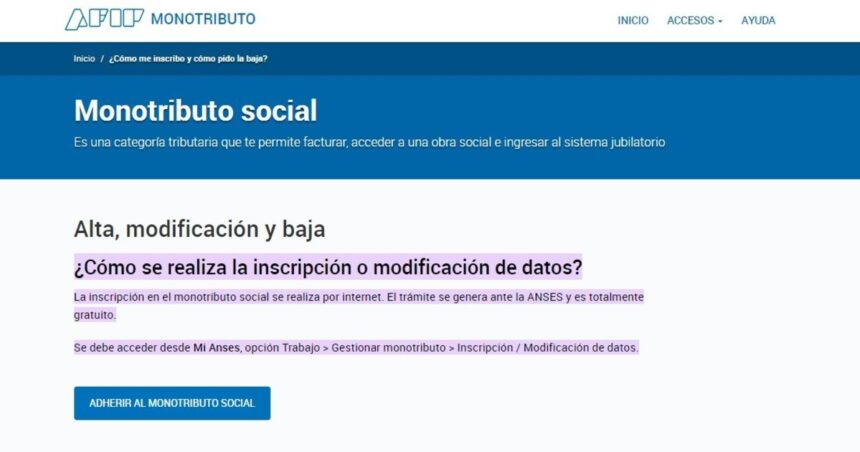 ¿Dónde puedo ver los aportes de monotributo social?