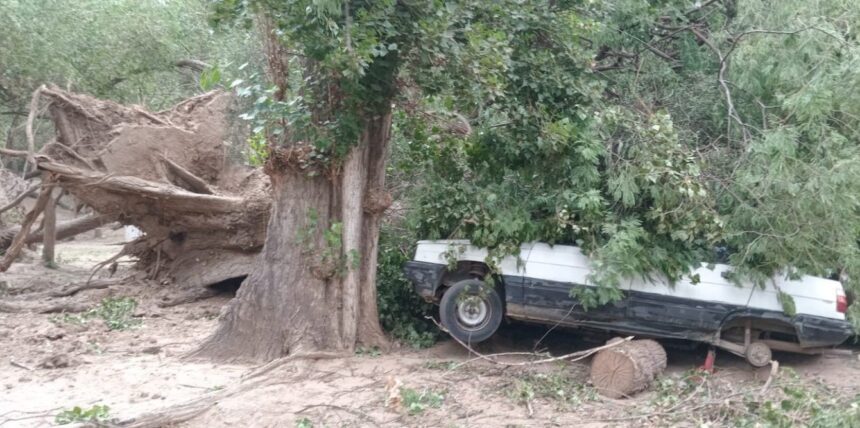 Se restableció el servicio de energía en el distrito de Sañogasta afectado por la caída de árboles