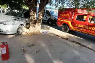 Joven conductor debió ser trasladado al hospital tras impactar con un árbol