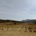 El cementerio en el que los vivos se pelean por estar: “Los niños la pasan estupendo”