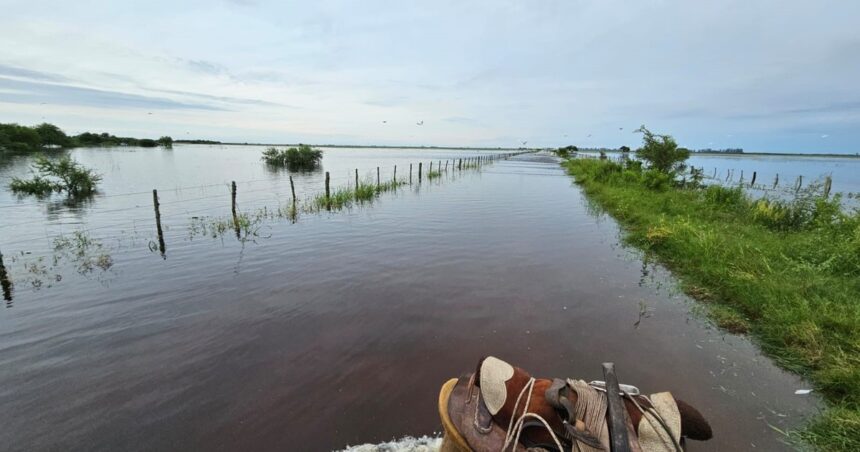 Los sistemas de alerta temprana reducen un 30% los daños de un desastre ambiental