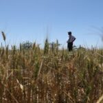 Cambio climático: cuáles son los efectos que causa en la salud mental