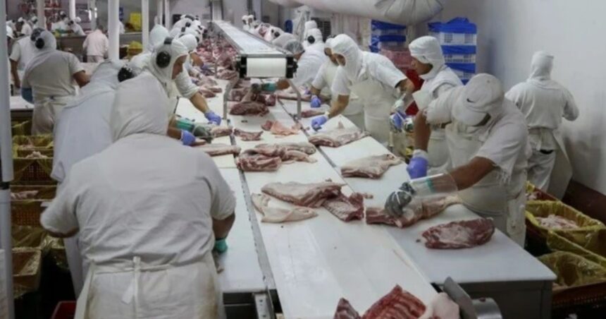 En 2023 se exportó mucha más carne pero ingresaron menos divisas