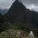 ¿Qué ocurre en Machu Picchu?