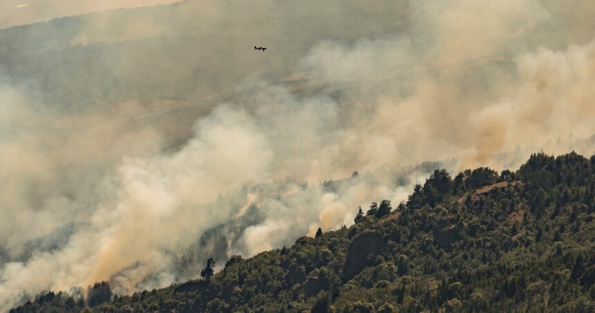 Parque Nacional Los Alerces: el dato clave que confirma que el incendio fue intencional