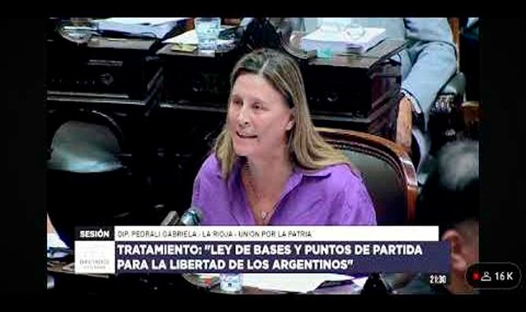 Gabriela Pedrali: “Voy a  representar ese 45% de Argentinos que está en desacuerdo con el ajuste”