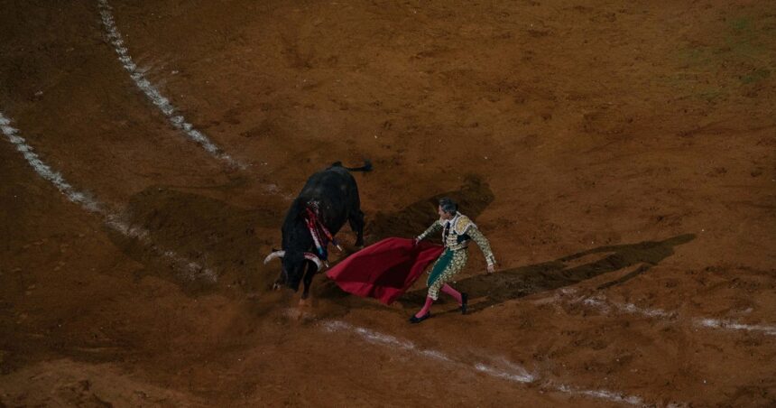 La tauromaquia vuelve a su mayor plaza. La lucha por su futuro continúa