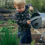 Vinagre blanco para las plantas: para qué sirve y cómo aplicarlo para dar protección