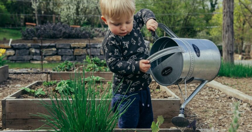 Vinagre blanco para las plantas: para qué sirve y cómo aplicarlo para dar protección