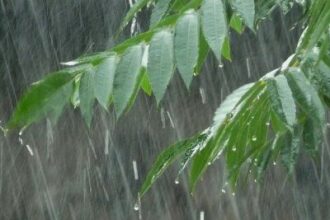 Con núcleos de tormenta y lluvia llegó el alivio a parte del interior de la provincia