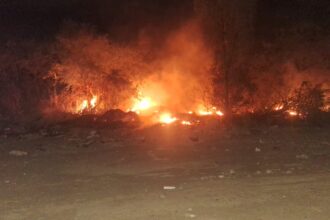 Chepes: incendio de pastizales en cercanía del INTA