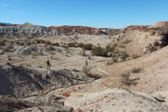 Encontraron en La Rioja restos fósiles de una especie precursora de los mamíferos