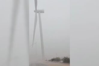 Fuertes ráfagas de viento se registran en el Departamento Arauco