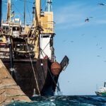 Las Malvinas y la pesca en el Atlántico Sur