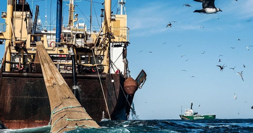 Las Malvinas y la pesca en el Atlántico Sur