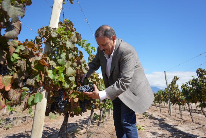 El gobernador Ricardo Quintela participó del inicio de la Vendimia 2024 en Aminga