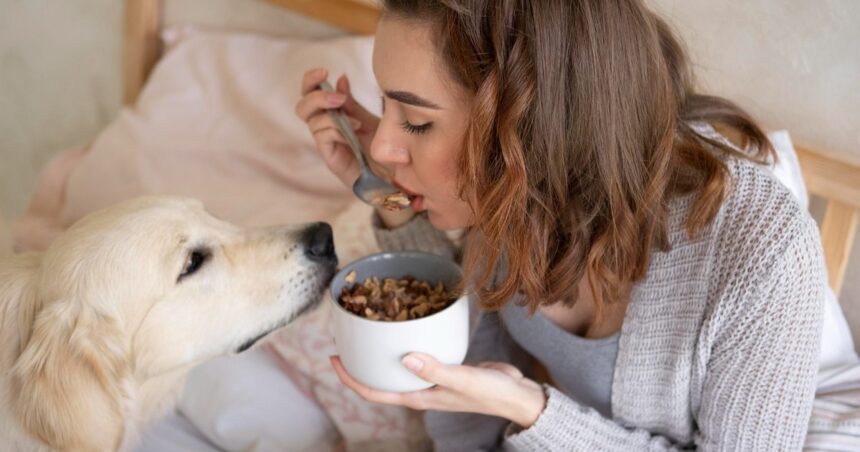 ¿Por qué no se le puede dar siempre hígado a un perro?