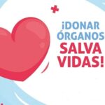 Día Internacional del Trasplante de Órganos: donar puede salvar hasta ocho vidas