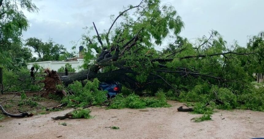 La cola de un tornado sorprendió a una localidad de Córdoba y provocó múltiples destrozos