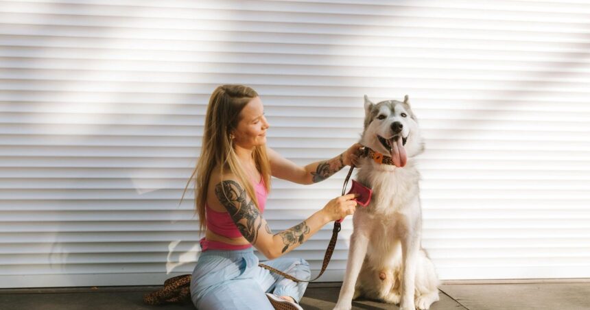 Qué aceite es bueno para el pelo de los perros