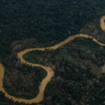 Antropología en el Amazonas: Un mundo emboscado