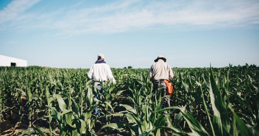 La revolución del campo llegó a Expoagro 2024