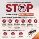 Dengue: los casos crecieron en los últimos 50 años y no creen que bajen en un futuro