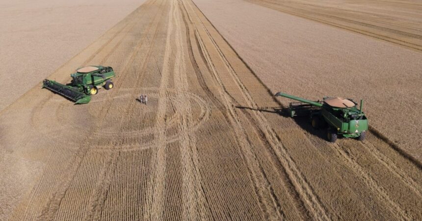 “Los exportadores continúan pesificando”: el reclamo de los acopiadores al secretario de Agricultura